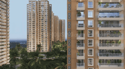 Prestige Southern Star Elevation 1