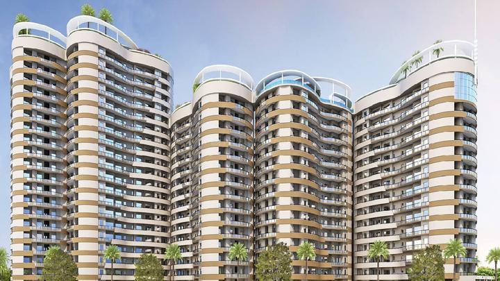 Rise Organic Ghar - Image 3