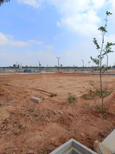 Project Image of 800.0 - 1500.0 Sq.ft Residential Plot Plot for buy in Sidvin Serenity