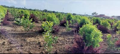 SSL Tummalapalli Plot 2