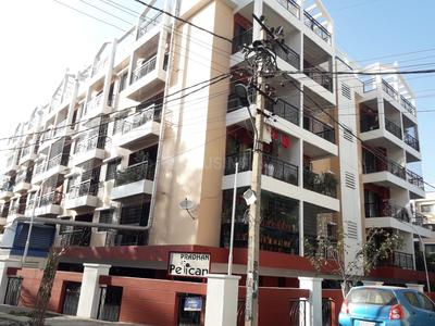 Pradhan Pelican Elevation 1