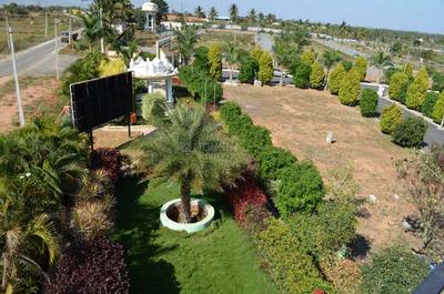 Maanya Lotus Landscape Garden and Tree Planting 1