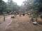 Jain Jain Villa 13 Senior Citizen Sitout 1