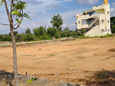 Golden Nest Plot 4