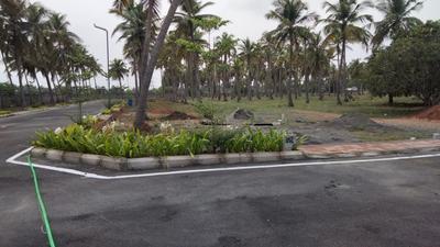 Project Image of 775.0 - 2000.0 Sq.ft Residential Plot Plot for buy in Sapphire Garden Phase 1