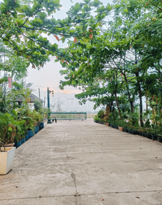 Project Image of 590.19 - 1743.75 Sq.ft Residential Plot Plot for buy in Agrawal Swarna Nagri