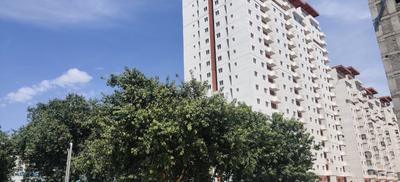 Project Image of 877.0 - 2350.0 Sq.ft 2 BHK Apartment for buy in Galaxy Tower Of The Gem Grove