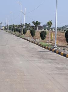 Project Image of 1512.0 - 2250.0 Sq.ft Residential Plot Plot for buy in Sree City