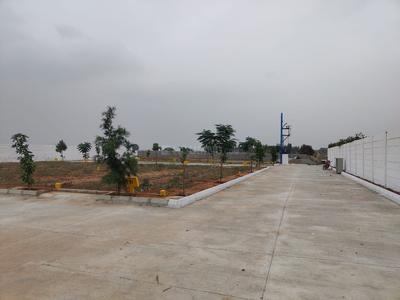 Project Image of 800.0 - 1300.0 Sq.ft Residential Plot Plot for buy in Pruthvi Asset