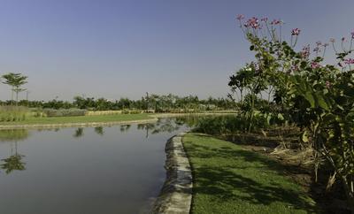 Project Image of 4320.0 - 10125.0 Sq.ft Residential Plot Plot for buy in Synthesis Suramya Lifespace