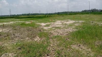 Project Image of 1440.0 - 7200.0 Sq.ft Residential Plot Plot for buy in Bashbhumi Green View