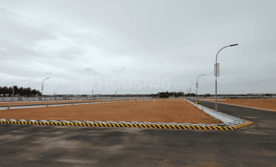Project Images