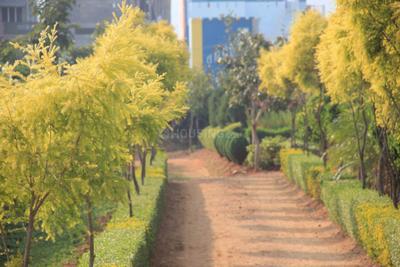 ESS And ESS JSS 4th Stage Block A Landscape Garden and Tree Planting 1