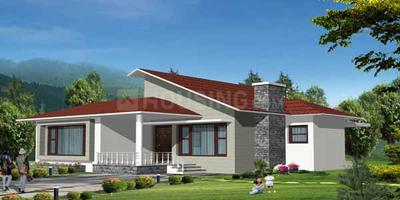 Project Images