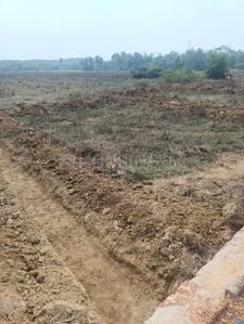 Mahamumbai Plots In Sarde Plot 3