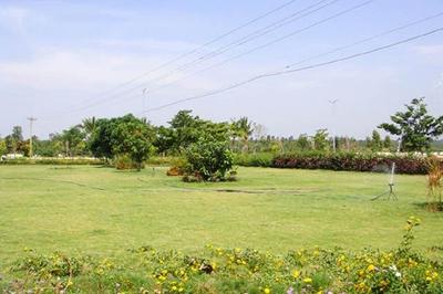 Icon Valley Amenities 1