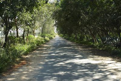 Project Image of 1200.0 - 2400.0 Sq.ft Residential Plot Plot for buy in Maxworth Max Blossom