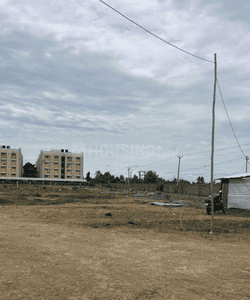 Sreevatsa Mathura Project Images