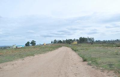 Project Image of 1200.0 - 5000.0 Sq.ft Residential Plot Plot for buy in AVS De Flora