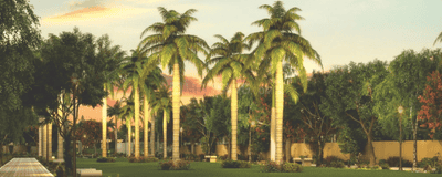 Project Image of 1800 Sq.ft 3 BHK Apartment / Flat for sale in Horamavu for Rs. 21800000