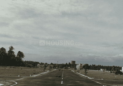 Project Images