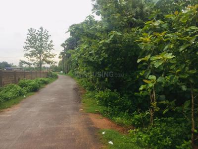 Project Image of 1503.0 - 1998.0 Sq.ft Residential Plot Plot for buy in Alluri S Nandanavanam Phase III