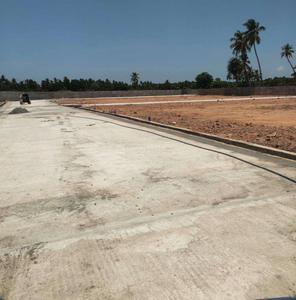 Project Images
