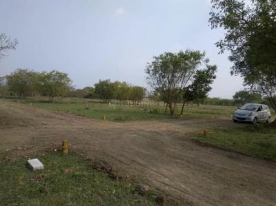 Project Image of 1050.0 - 1855.0 Sq.ft Residential Plot Plot for buy in Sri Ram Nagar