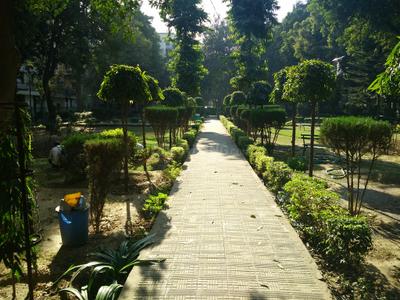 Project Image of 0.0 - 1100.0 Sq.ft 2 BHK Apartment for buy in DDA SFS Flats