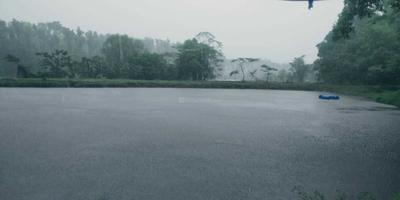Project Image of 5500.0 - 11000.0 Sq.ft Residential Plot Plot for buy in Lost In The Woods