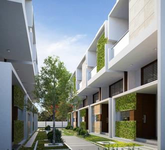 Citrus Zen Garden Images for Elevation of Citrus Zen Garden 1