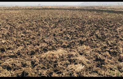 Project Image of 1000.0 - 10000.0 Sq.ft Residential Plot Plot for buy in Samrajya Khopta Township