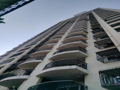 Project Images