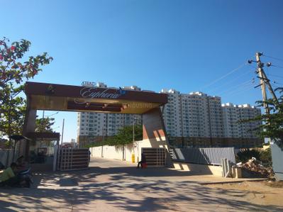 Project Image of 521.0 - 1863.0 Sq.ft 1 BHK Apartment for buy in Ahad Euphoria