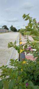 Project Image of 1350.0 - 7299.0 Sq.ft Residential Plot Plot for buy in Navabhoomi Wonder Farms