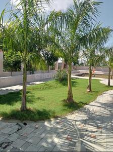 Project Image of 1100.0 - 5000.0 Sq.ft Residential Plot Plot for buy in Mauli Town 36 And 37