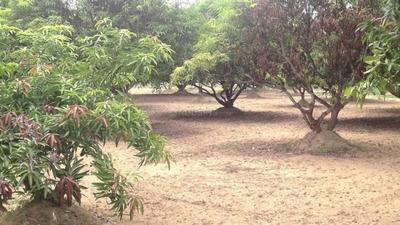 Project Image of 2400.0 - 9600.0 Sq.ft Residential Plot Plot for buy in Lereve