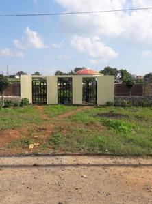 Project Images