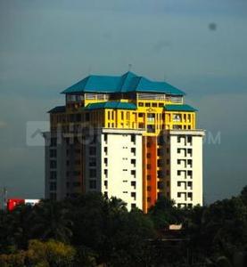 Noel Signature noel_signature.jpg 1