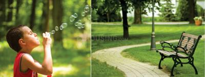 Project Image of 183.0 - 441.0 Sq.ft 1 BHK Apartment for buy in Parshwa Gruh Nirman Mera Ghar