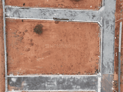 Project Images