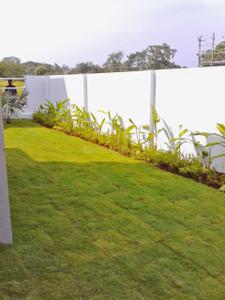 Project Image of 555.0 - 570.0 Sq.ft 2 BHK Apartment for buy in Axis Maple Terraces