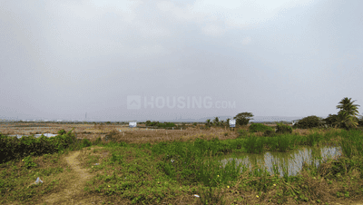 Project Image of 1000.0 - 10000.0 Sq.ft Residential Plot Plot for buy in Avani City Plots In Dronagiri