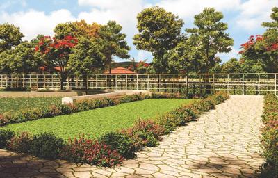 Project Image of 1084.79 - 24098.14 Sq.ft Residential Plot Plot for buy in Urban Passport