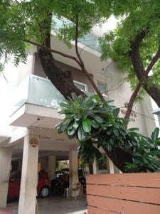 Project Image of 1598.0 - 2146.0 Sq.ft 3 BHK Apartment for buy in Navin Navins Mantra