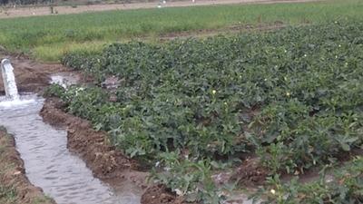 Project Image of 9600.0 - 19999.0 Sq.ft Residential Plot Plot for buy in Kingmakers Farm Land