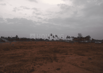 Project Images