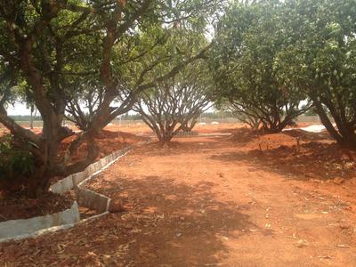 Project Image of 1108.0 - 2400.0 Sq.ft Residential Plot Plot for buy in Shriram Godhuli