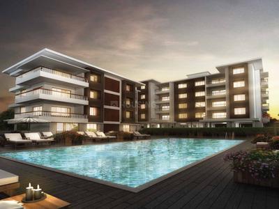 Gallery Cover Pic of Altura Primavista