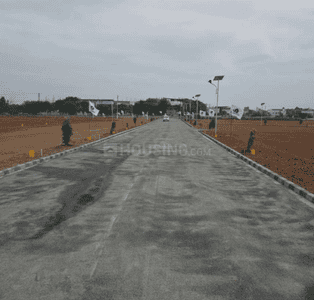 Project Images